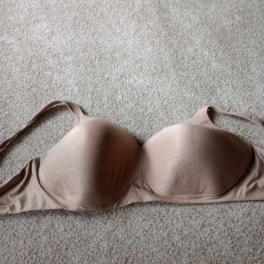 Warner's Blissful Benefits Bra 44DD
